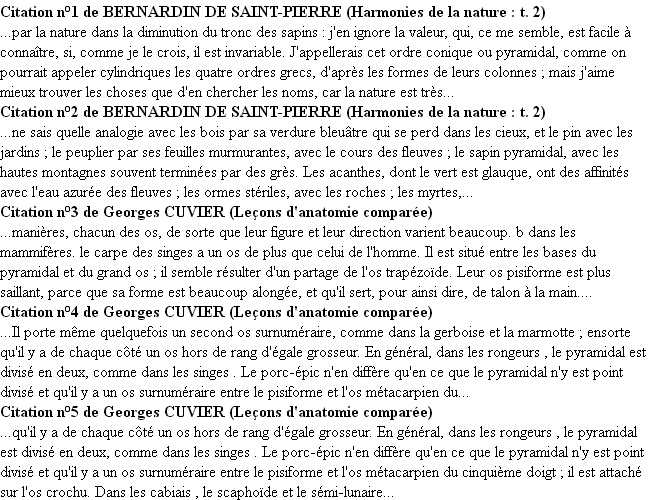 Citations pyramidal Citations pyramidal
