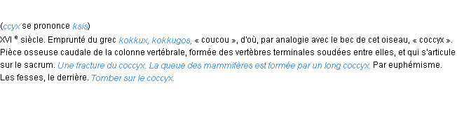 Définition coccyx ACAD 1986