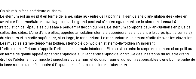Définition sternum